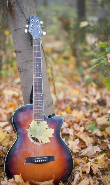 Left behind guitar — Stock Photo, Image