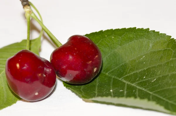 Cherry buah di musim — Stok Foto