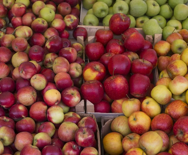 Diferentes tipos de manzanas — Foto de Stock