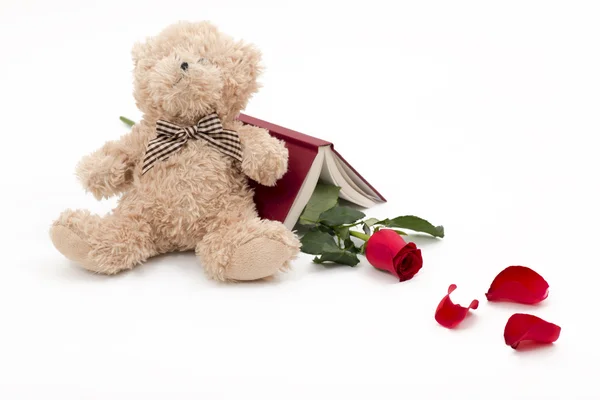 Bear red rose and one good book to read — Stock Photo, Image