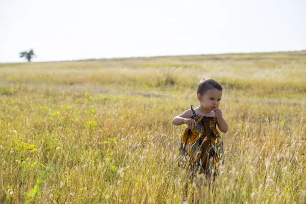 Little girl walks through tall, autumn grass — Stock Photo, Image