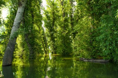 Göl ve tekne sular altında ağacında yansıması