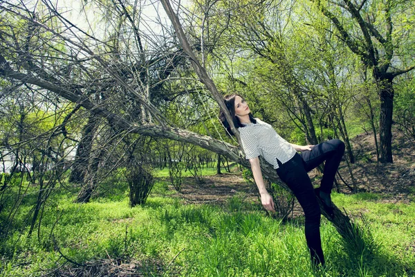 Mujer joven acostada en un árbol en primavera — Foto de Stock