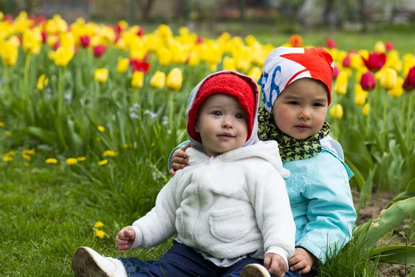 Dvě malá holčička s tulipány v pozadí — Stock fotografie