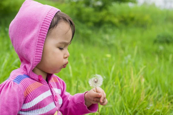 Lief klein meisje paardebloem blazen op de weide — Stockfoto