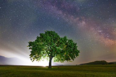 Samanyolu galaksisi Dobrogea, Romanya 'nın altında yapayalnız bir ağaç
