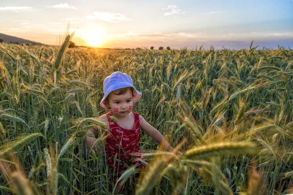 Porträt eines kleinen Mädchens, das in einem Weizenfeld spielt — Stockfoto