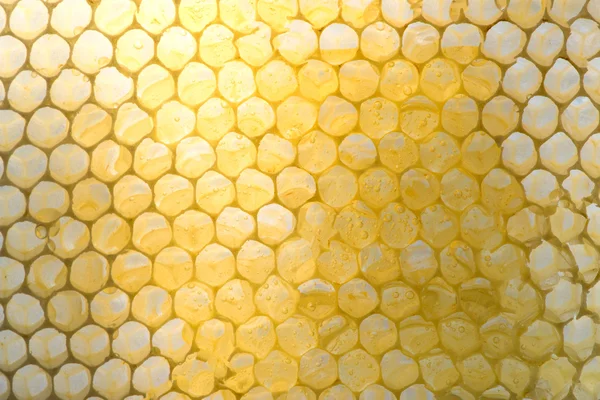 Verzerrte Waben, zur Hälfte mit Honig gefüllt — Stockfoto