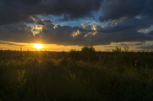 Landskapet i solnedgången på landsbygden — Stockfoto