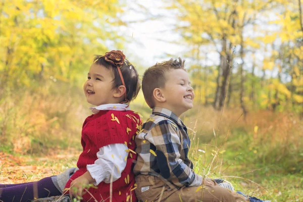 Adorables niños pequeños con hojas de otoño en el parque de belleza, sentados espalda con espalda —  Fotos de Stock