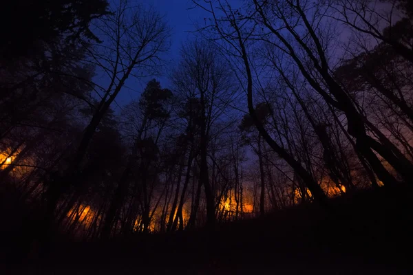 Lento incendio forestal por la noche . — Foto de Stock