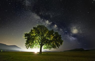 Samanyolu galaksisi Dobrogea, Romanya 'nın altında yapayalnız bir ağaç