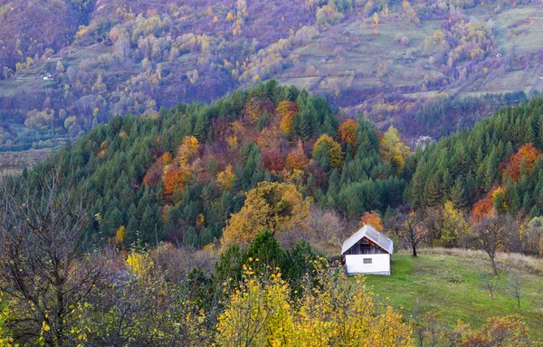 Vackert Höstlandskap och gamla hus — Stockfoto