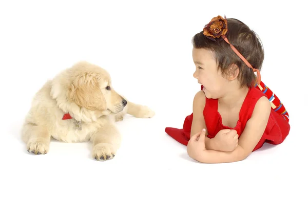 Petite fille avec un chiot Golden retriever — Photo