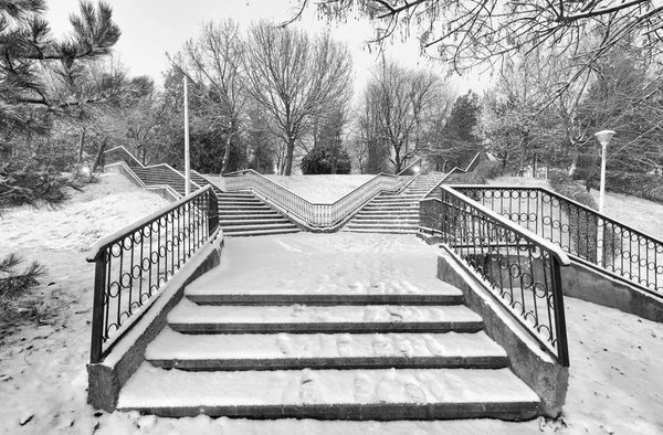 Black and white winter landscape in the city — Stock Photo, Image