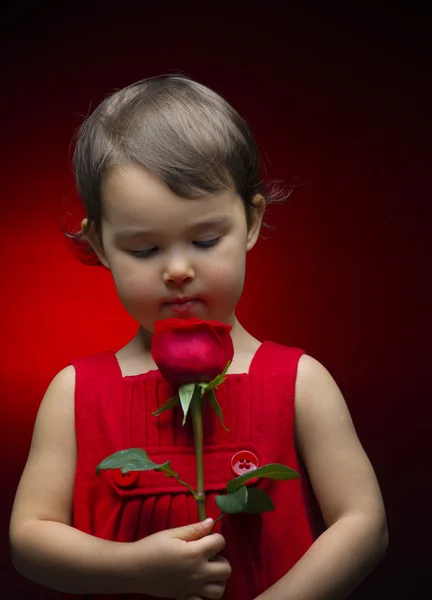 Kleines Mädchen hält Rose isoliert auf rotem Hintergrund — Stockfoto