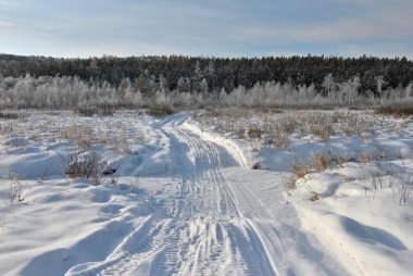 Güzel kış manzarası