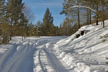 Güzel kış manzarası