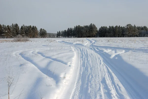 Güzel kış manzarası