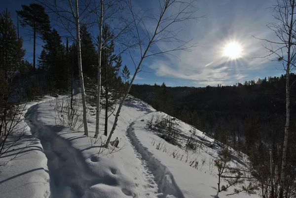 Güzel kış manzarası