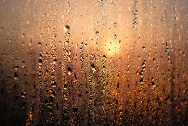 Su bardağa düşer.