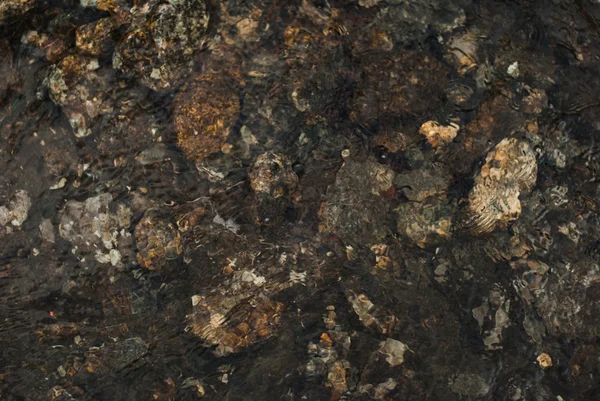 Textura fondo salpicaduras de agua y piedras Imagen de archivo