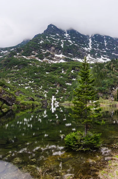 Berglandschaft, die sich im Wasser spiegelt — Stockfoto