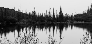 dağ gölü orman yansıması