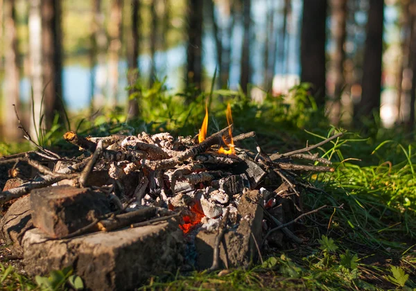 Ormanda şenlik ateşi