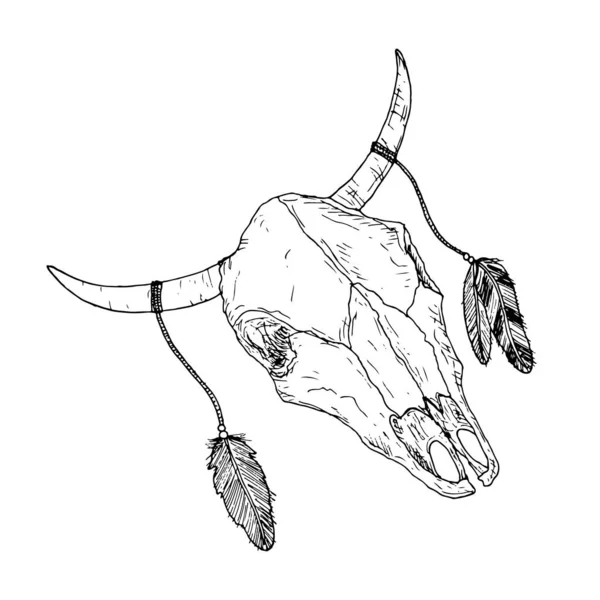 Crâne de taureau avec plumes sur les cornes. Le style Boho. Vecteur. — Image vectorielle