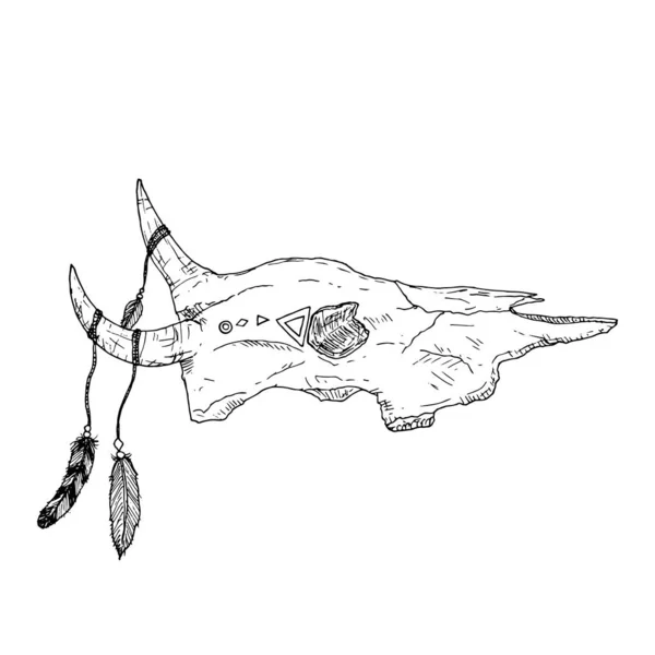 Crâne de taureau avec plumes sur les cornes. Le style Boho. Vecteur. — Image vectorielle