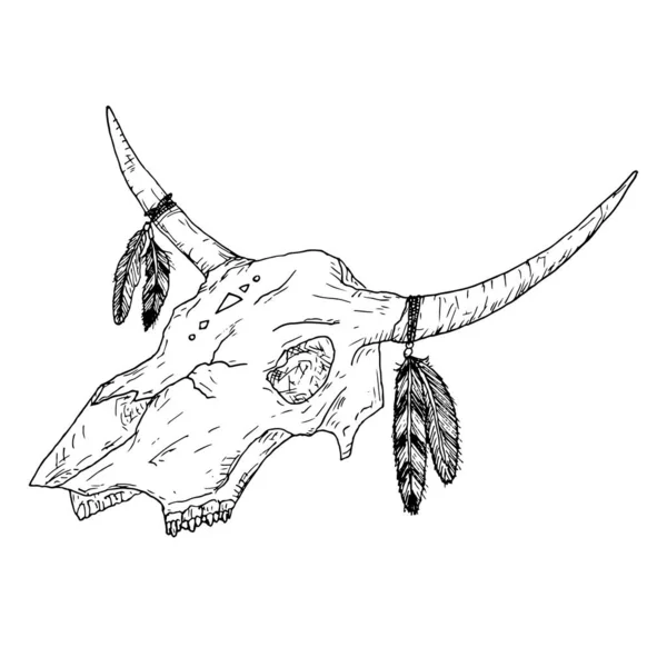 Bull skull with feathers on horns. Boho style. Vector. — Stock Vector