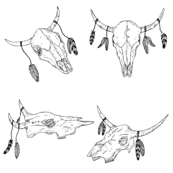 Crânes de taureau avec des plumes sur les cornes. Le style Boho. Vecteur. — Image vectorielle