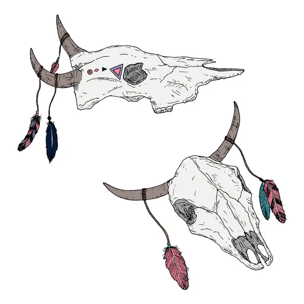 Calaveras de toro con plumas en los cuernos. Estilo boho. Vector. — Archivo Imágenes Vectoriales