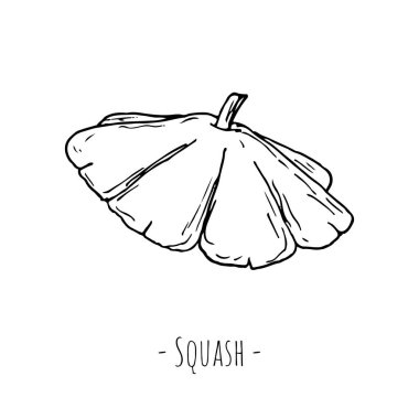 Kabak. Vektör çizimi. Beyazda izole edilmiş. Elle çizilmiş biçim.