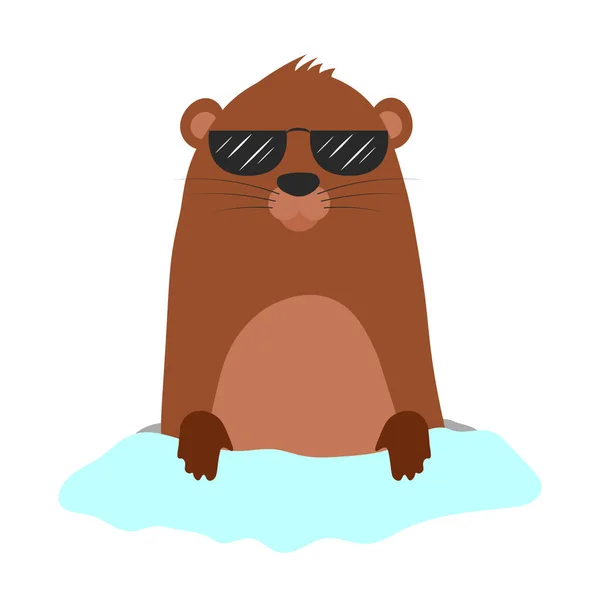 Marmota Con Gafas Sol Saliendo Madriguera Ilustración Dibujos Animados Vectoriales — Vector de stock