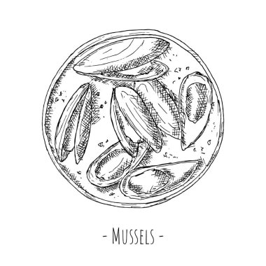 Midyeler. Üst Manzara. Vektör çizimi. Beyazda izole edilmiş. Elle çizilmiş biçim.