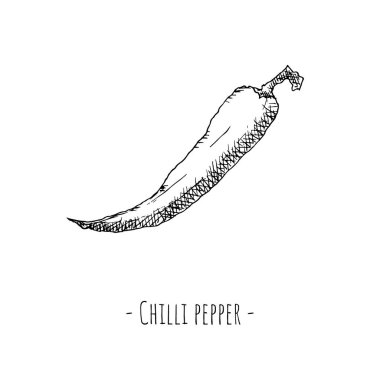 Kırmızı biber. Vektör çizimi. Beyaz üzerine izole nesne.