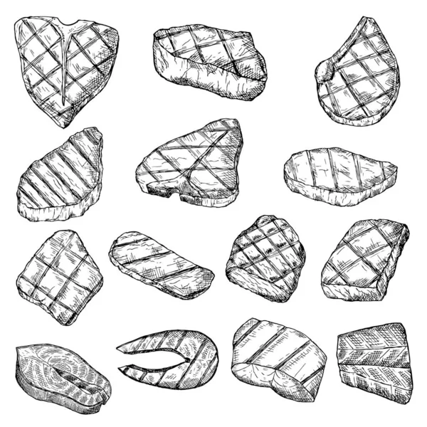 Conjunto de filetes de carne a la parrilla, filetes de pescado y filete de pescado. Ilustración vectorial. Objetos aislados en blanco. — Archivo Imágenes Vectoriales