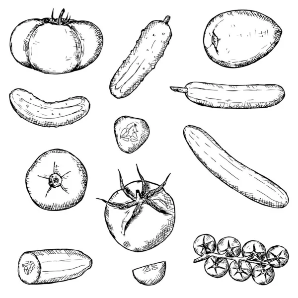 Sayuran siap. mentimun dan tomat. Vektor ilustrasi. Terisolasi di atas putih. Stok Ilustrasi Bebas Royalti