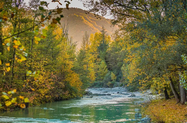 流动缓慢的Val Bidente河与周围森林的秋色融为一体 — 图库照片
