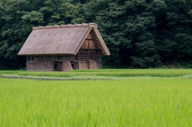 Shirakawa-go eski yazlık