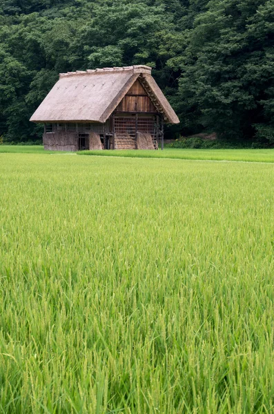 Cottage em Shirakawa-go Japão — Fotografia de Stock