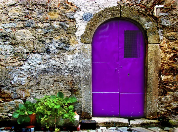 Paarse deur — Stockfoto
