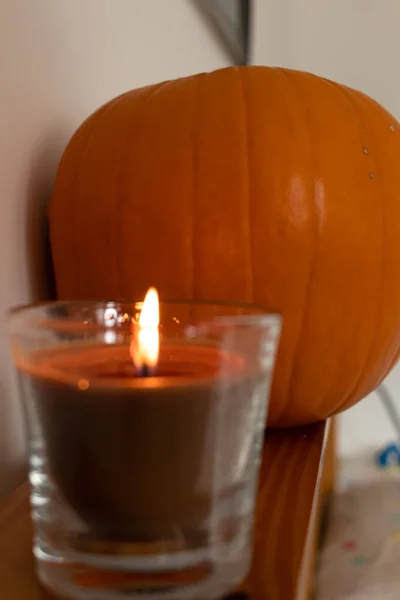 Foto Primo Piano Una Zucca Organica Messa Fuoco Con Una — Foto Stock