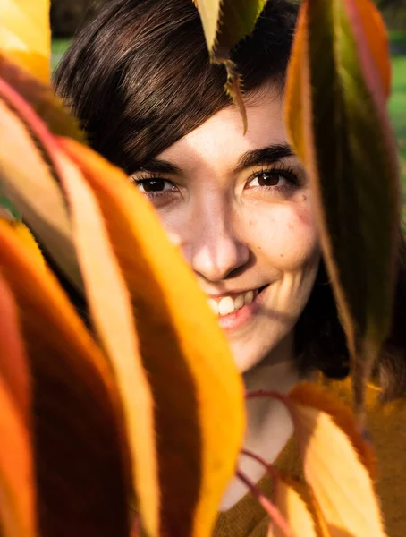 Portret Atrakcyjnej Młodej Samicy Pomiędzy Żółtymi Liśćmi Drzewa Jesienią Regents — Zdjęcie stockowe