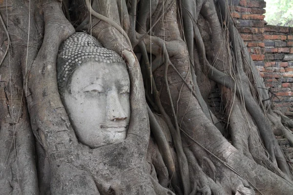 Изображение главы Будды в Ват Махато в Аюттхая, Таиланд — стоковое фото