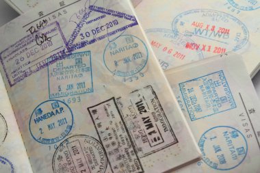 Japon passort vizesi