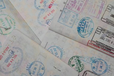 Japon passort vizesi