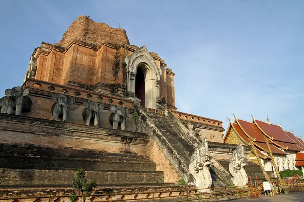 WAT chedi luang chiang Mai, Tayland — Stok fotoğraf